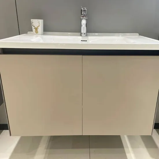 Wall Mounted Bathroom Vanity with Mirror 