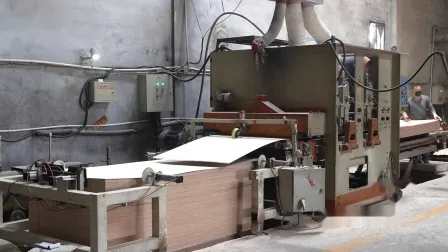 Topbon Commercial Plywood for Furniture 1220*2440mm China Origin 